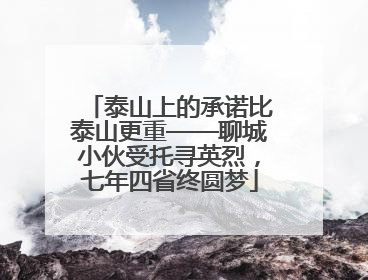 泰山上的承诺比泰山更重——聊城小伙受托寻英烈，七年四省终圆梦
