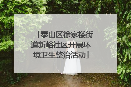 泰山区徐家楼街道新峪社区开展环境卫生整治活动