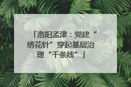 洛阳孟津：党建“绣花针”穿起基层治理“千条线”