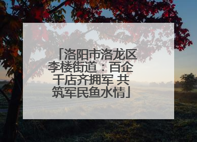 洛阳市洛龙区李楼街道：百企千店齐拥军 共筑军民鱼水情