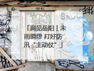 洞见岳阳丨未雨绸缪 打好防汛“主动仗”