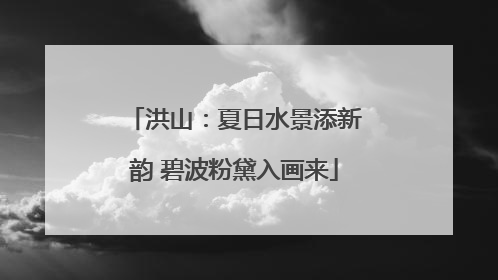 洪山：夏日水景添新韵 碧波粉黛入画来