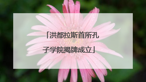 洪都拉斯首所孔子学院揭牌成立