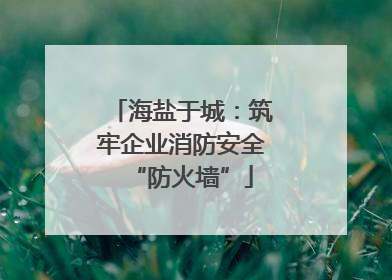 海盐于城：筑牢企业消防安全“防火墙”