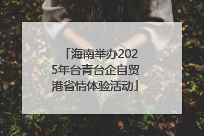 海南举办2025年台青台企自贸港省情体验活动