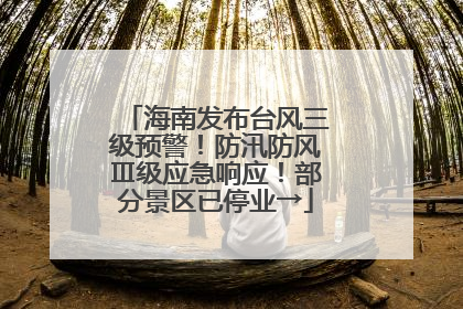 海南发布台风三级预警！防汛防风Ⅲ级应急响应！部分景区已停业→