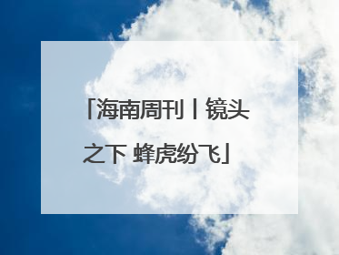 海南周刊丨镜头之下 蜂虎纷飞