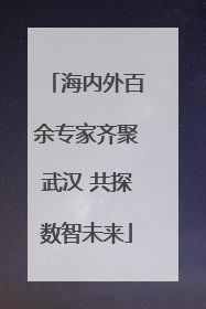 海内外百余专家齐聚武汉 共探数智未来