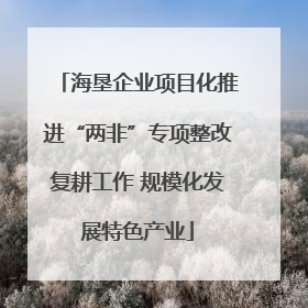 海垦企业项目化推进“两非”专项整改复耕工作 规模化发展特色产业