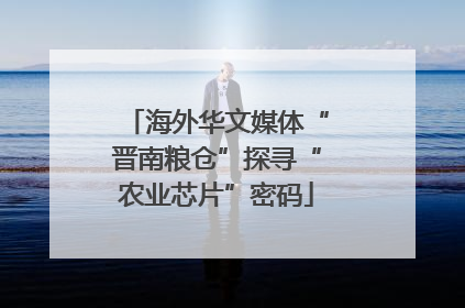 海外华文媒体“晋南粮仓”探寻“农业芯片”密码