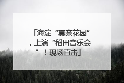 海淀“莫奈花园”，上演“稻田音乐会”！现场直击