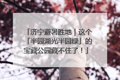 济宁避暑胜地｜这个「半园湖光半园绿」的宝藏公园藏不住了！