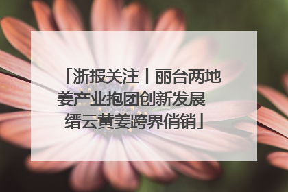 浙报关注丨丽台两地姜产业抱团创新发展 缙云黄姜跨界俏销
