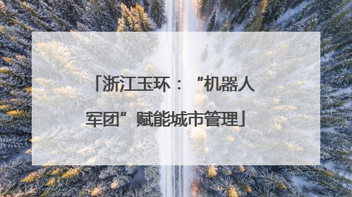 浙江玉环：“机器人军团”赋能城市管理