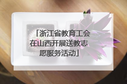 浙江省教育工会在山西开展送教志愿服务活动