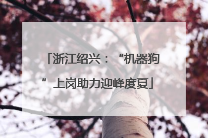浙江绍兴：“机器狗”上岗助力迎峰度夏