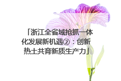 浙江全省域抢抓一体化发展新机遇②：创新热土共育新质生产力