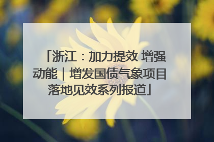 浙江：加力提效 增强动能｜增发国债气象项目落地见效系列报道