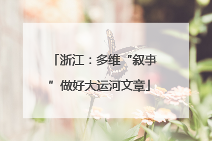 浙江：多维“叙事”做好大运河文章
