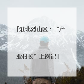 淮北烈山区：“产业村长”上岗记