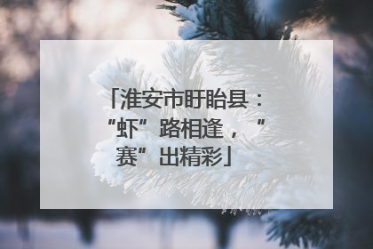 淮安市盱眙县：“虾”路相逢，“赛”出精彩