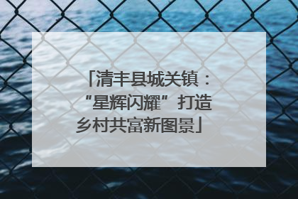 清丰县城关镇：“星辉闪耀”打造乡村共富新图景