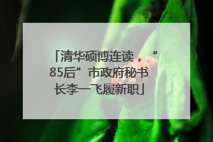 清华硕博连读，“85后”市政府秘书长李一飞履新职