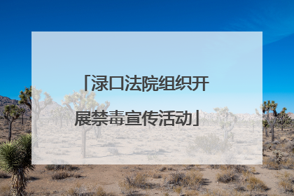 渌口法院组织开展禁毒宣传活动