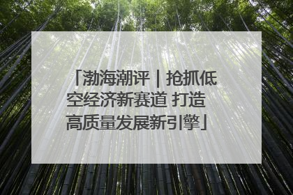 渤海潮评｜抢抓低空经济新赛道 打造高质量发展新引擎