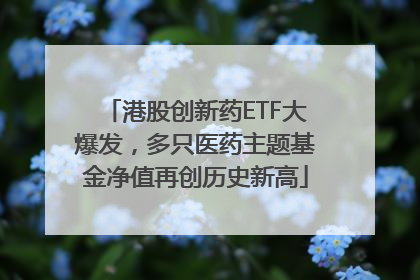 港股创新药ETF大爆发，多只医药主题基金净值再创历史新高