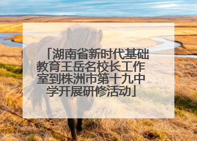湖南省新时代基础教育王岳名校长工作室到株洲市第十九中学开展研修活动