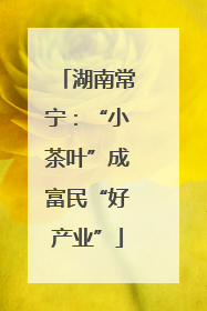 湖南常宁：“小茶叶”成富民“好产业”