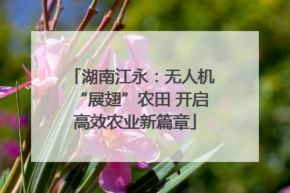 湖南江永：无人机“展翅”农田 开启高效农业新篇章