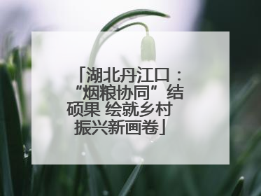 湖北丹江口：“烟粮协同”结硕果 绘就乡村振兴新画卷