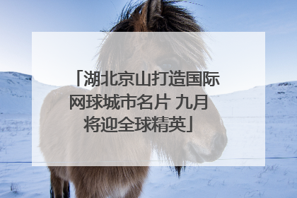 湖北京山打造国际网球城市名片 九月将迎全球精英