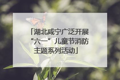 湖北咸宁广泛开展“六一”儿童节消防主题系列活动