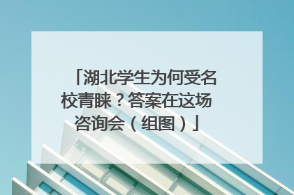 湖北学生为何受名校青睐？答案在这场咨询会（组图）