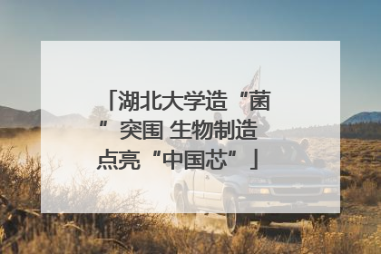湖北大学造“菌”突围 生物制造点亮“中国芯”