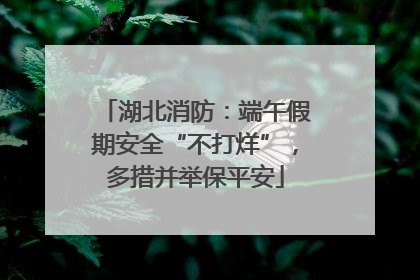 湖北消防：端午假期安全“不打烊”，多措并举保平安