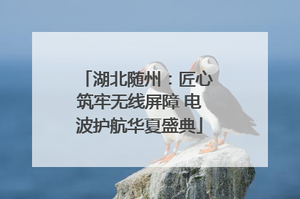 湖北随州：匠心筑牢无线屏障 电波护航华夏盛典