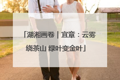 湖湘画卷｜宜章：云雾绕茶山 绿叶变金叶