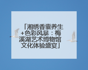 湘绣香囊养生+色彩风暴：梅溪湖艺术博物馆文化体验盛宴