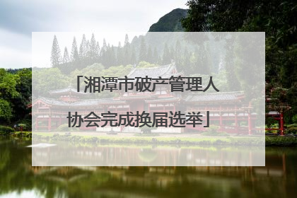 湘潭市破产管理人协会完成换届选举