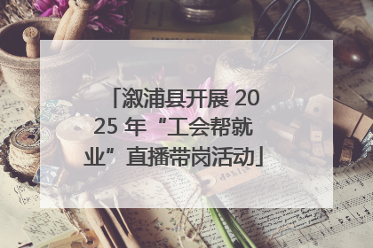 溆浦县开展 2025 年“工会帮就业”直播带岗活动