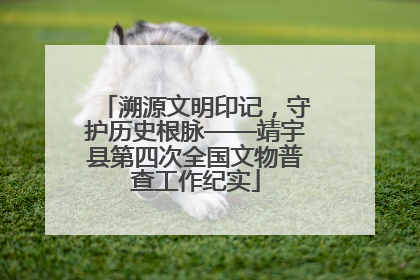 溯源文明印记，守护历史根脉——靖宇县第四次全国文物普查工作纪实