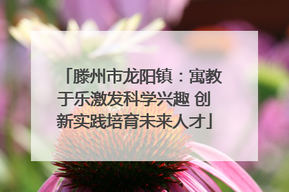 滕州市龙阳镇：寓教于乐激发科学兴趣 创新实践培育未来人才