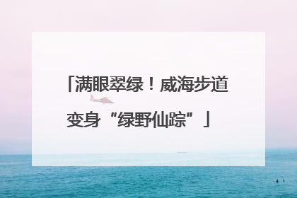 满眼翠绿！威海步道变身“绿野仙踪”