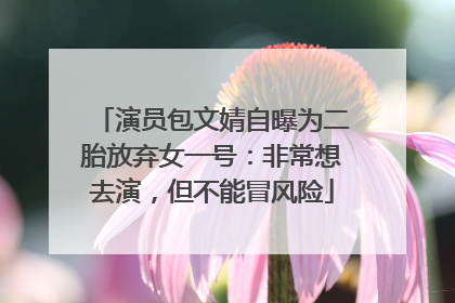 演员包文婧自曝为二胎放弃女一号：非常想去演，但不能冒风险
