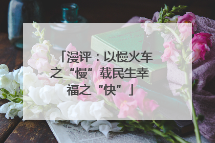漫评：以慢火车之“慢”载民生幸福之“快”
