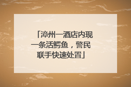 漳州一酒店内现一条活鳄鱼，警民联手快速处置